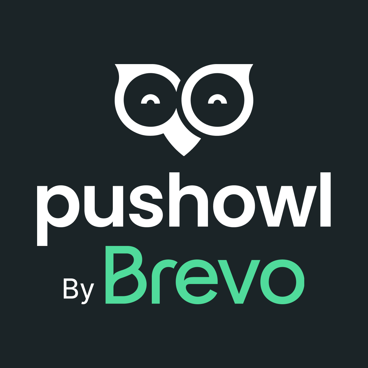 PushOwl x Brevo—Email,Push,SMS