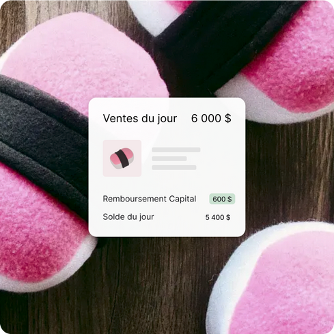 Le pourcentage de remboursement pour Shopify Capital issu des ventes quotidiennes d’un marchand ; Jouet en peluche rose en forme de musubi pour chien provenant d’une boutique pour animaux d’un marchand