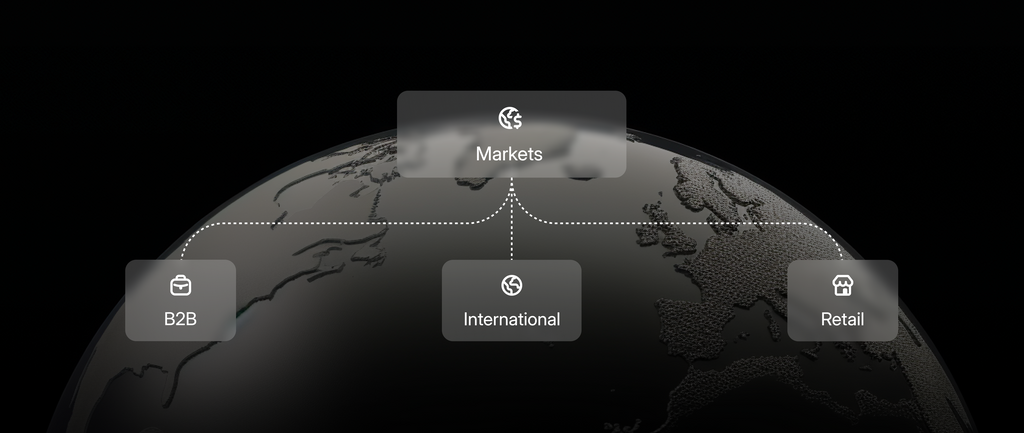 portion of a globe with text pop outs: B2B, international, markets, retail