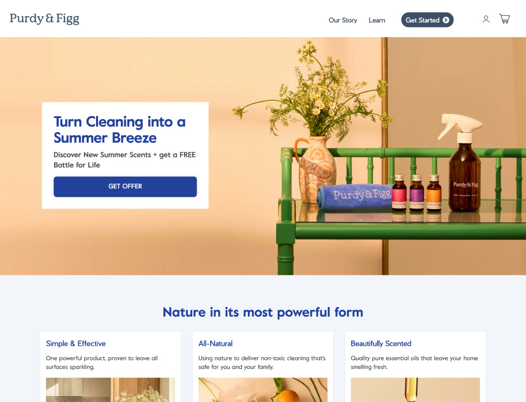 Image of Purdy & Figg website selling natural cleaning supplies