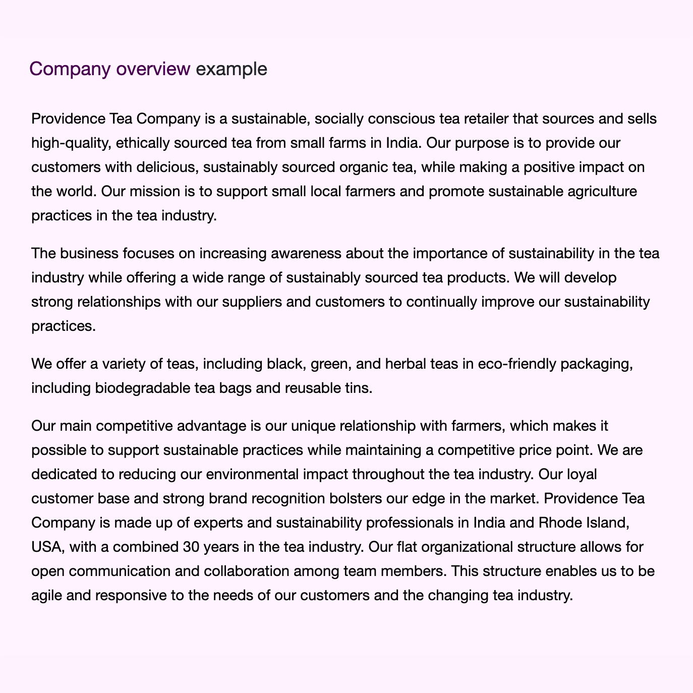 Example text from the company overview section of a business plan