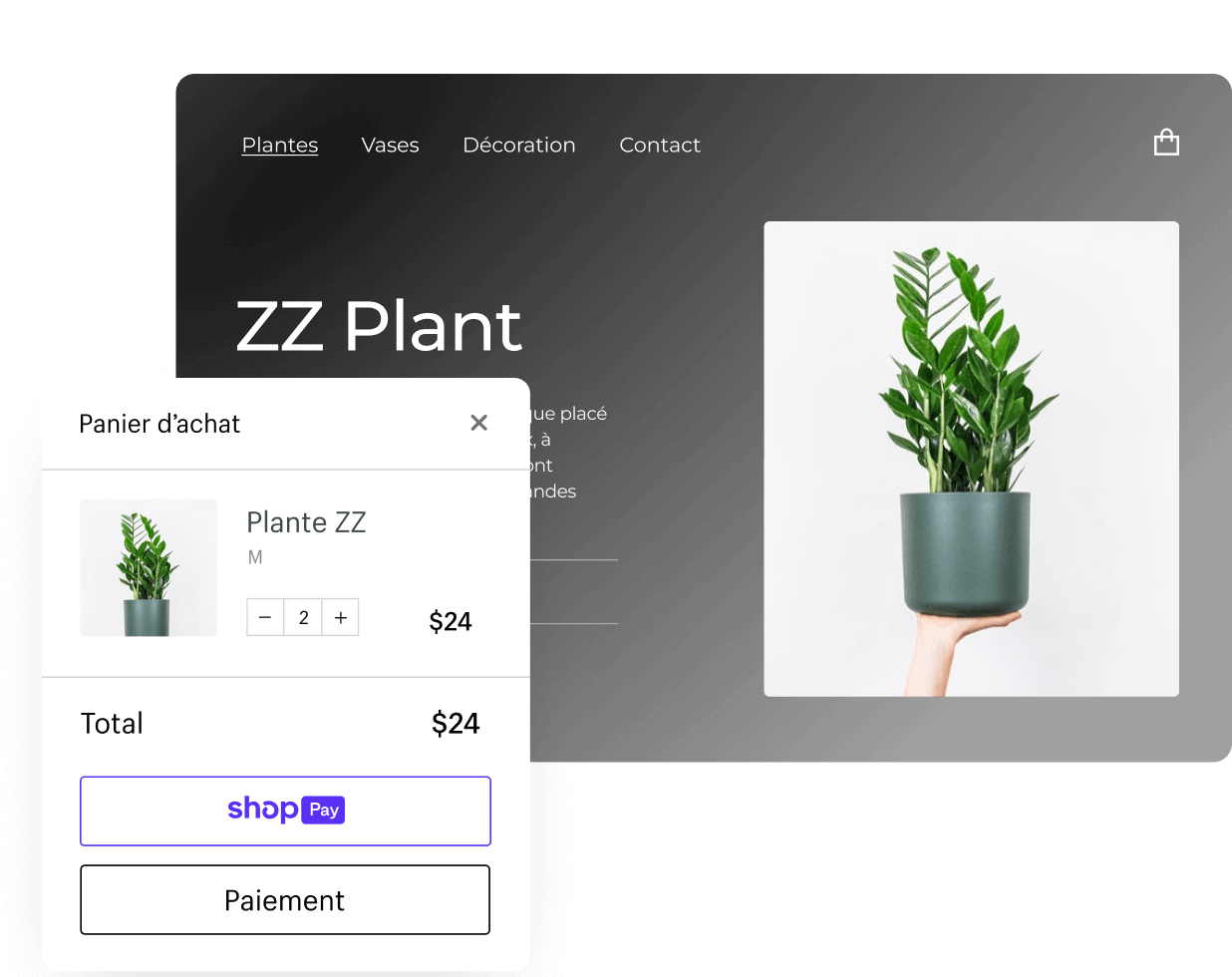 Une plante en tant que produit dans une boutique en ligne Shopify et dans un panier d'achat en ligne.