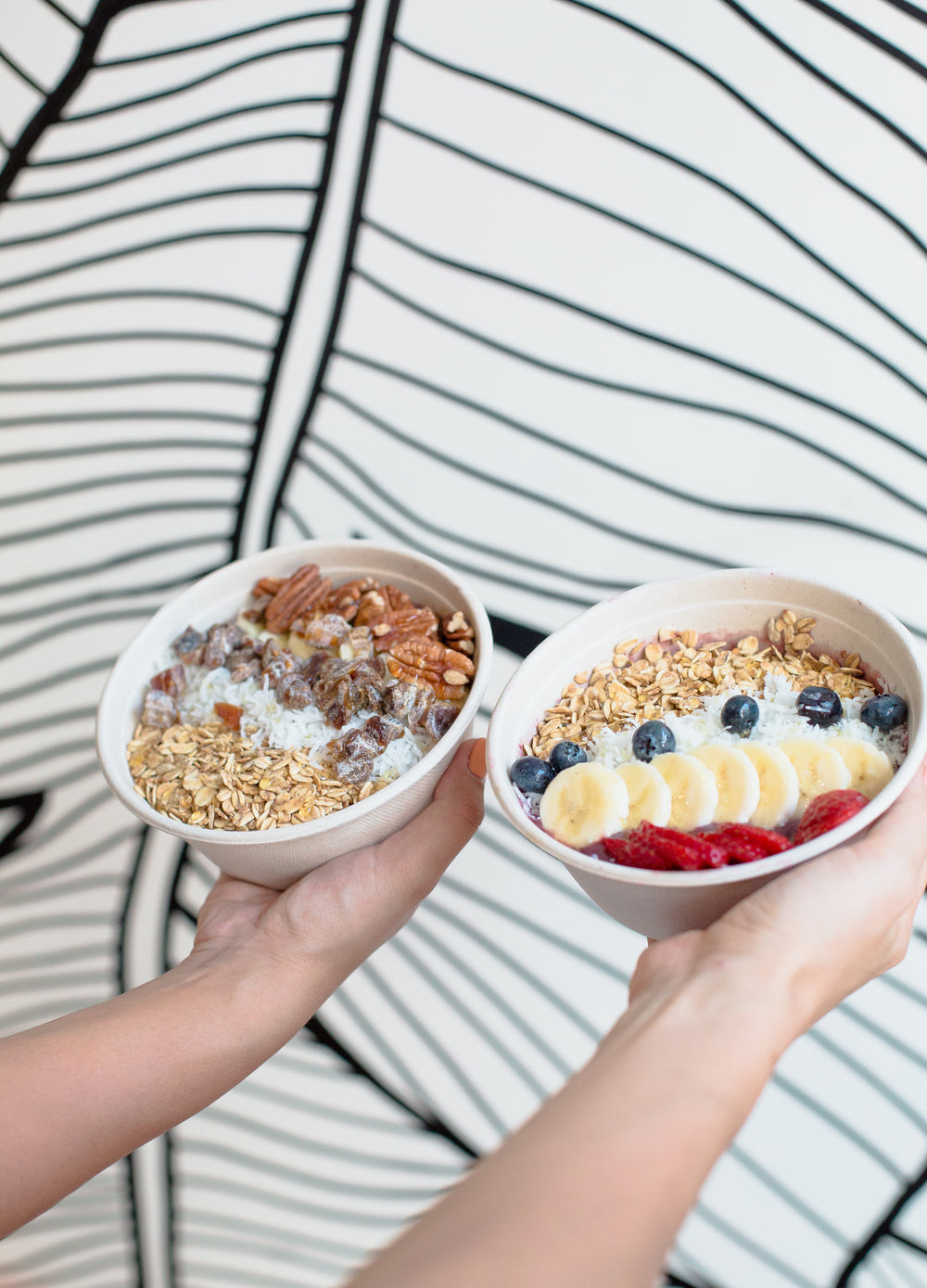 a pair of acai bowls