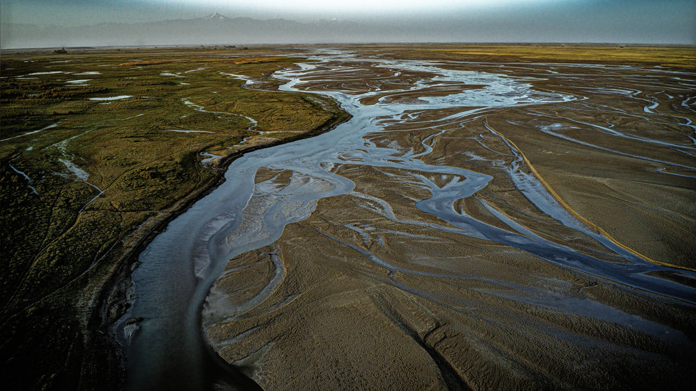 Aerial View Of Rivers Flowing Through Green Landscape