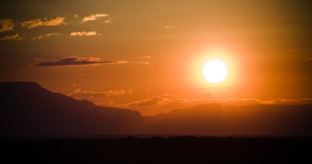 african safari sunset