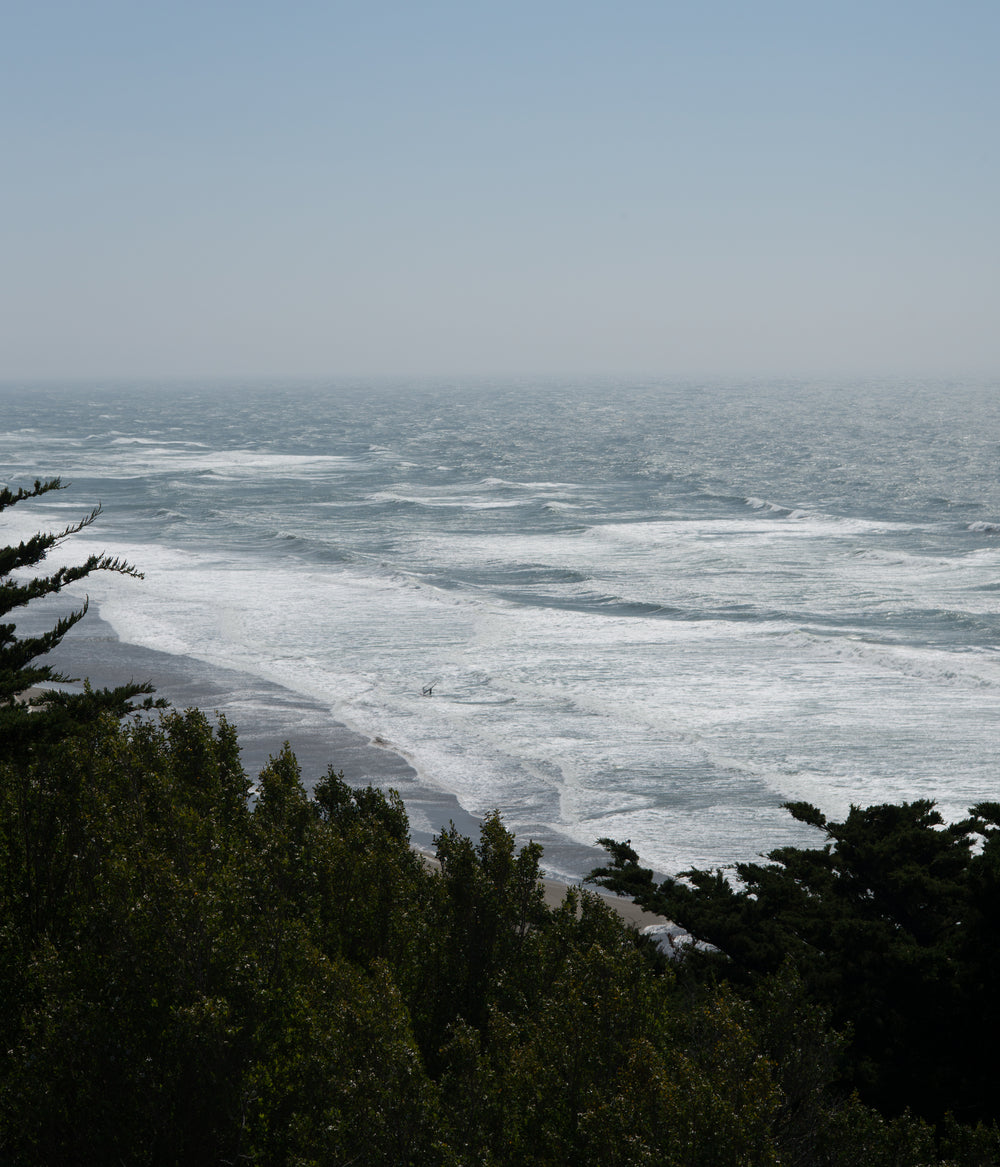 beach waves through trees