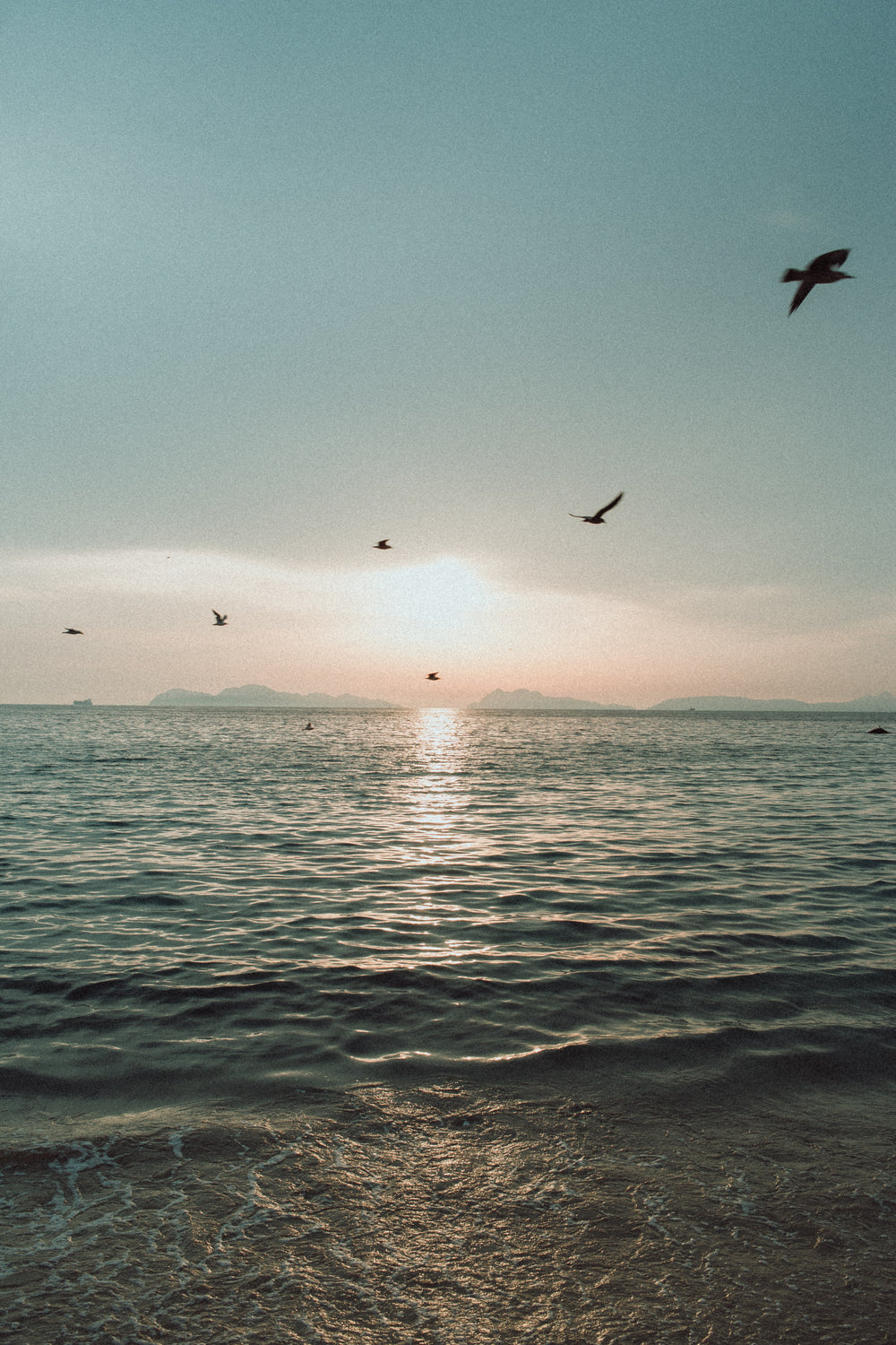 birds fly across a sea landscape