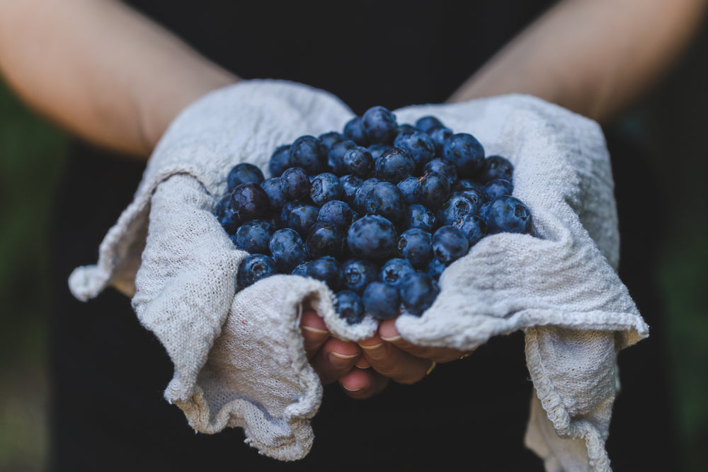 blueberries in hand