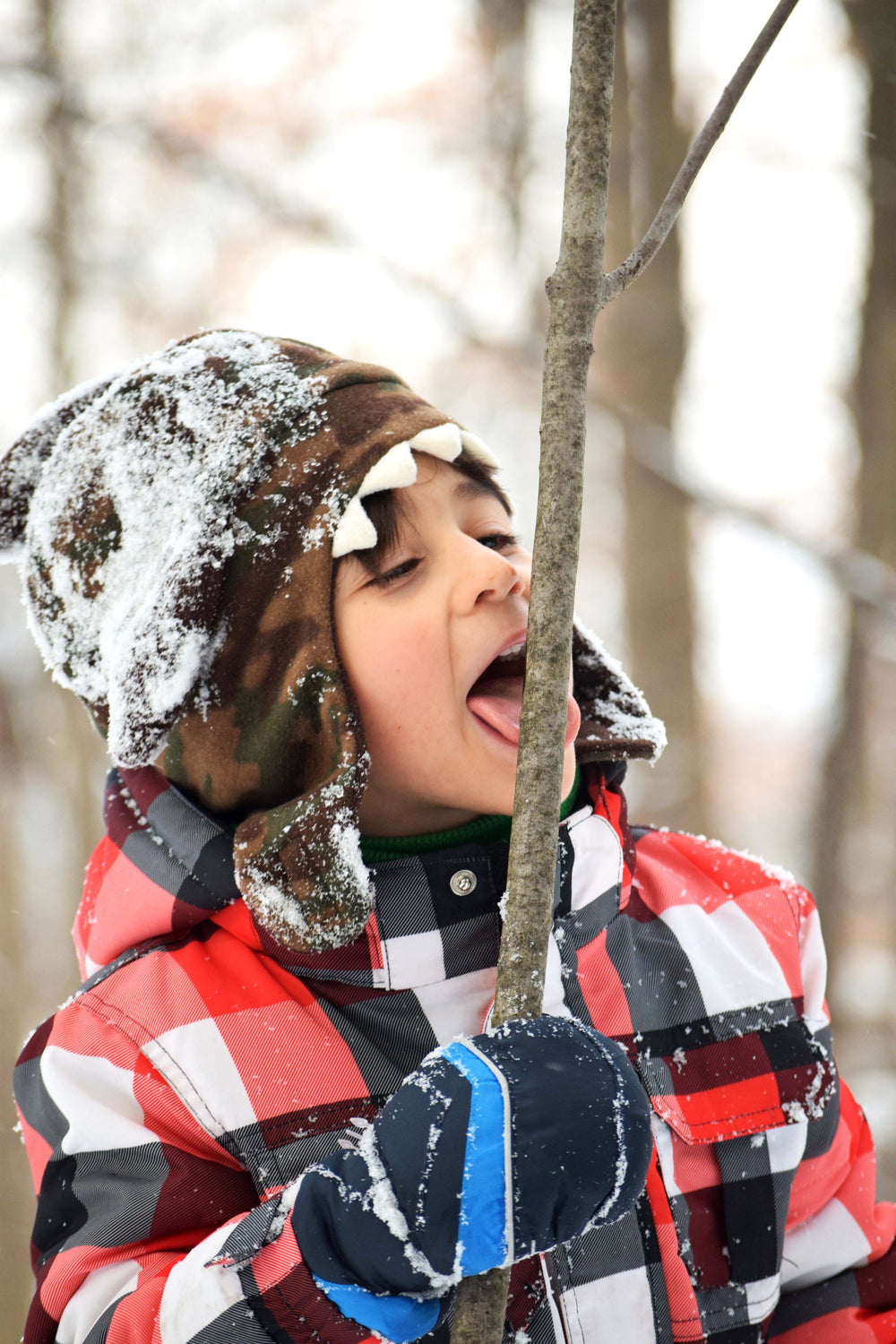 child licks twig in winter