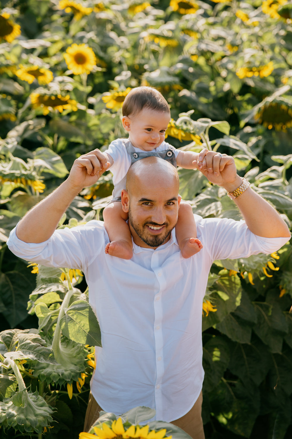 child sits on a shoulders standing in a sunflower field