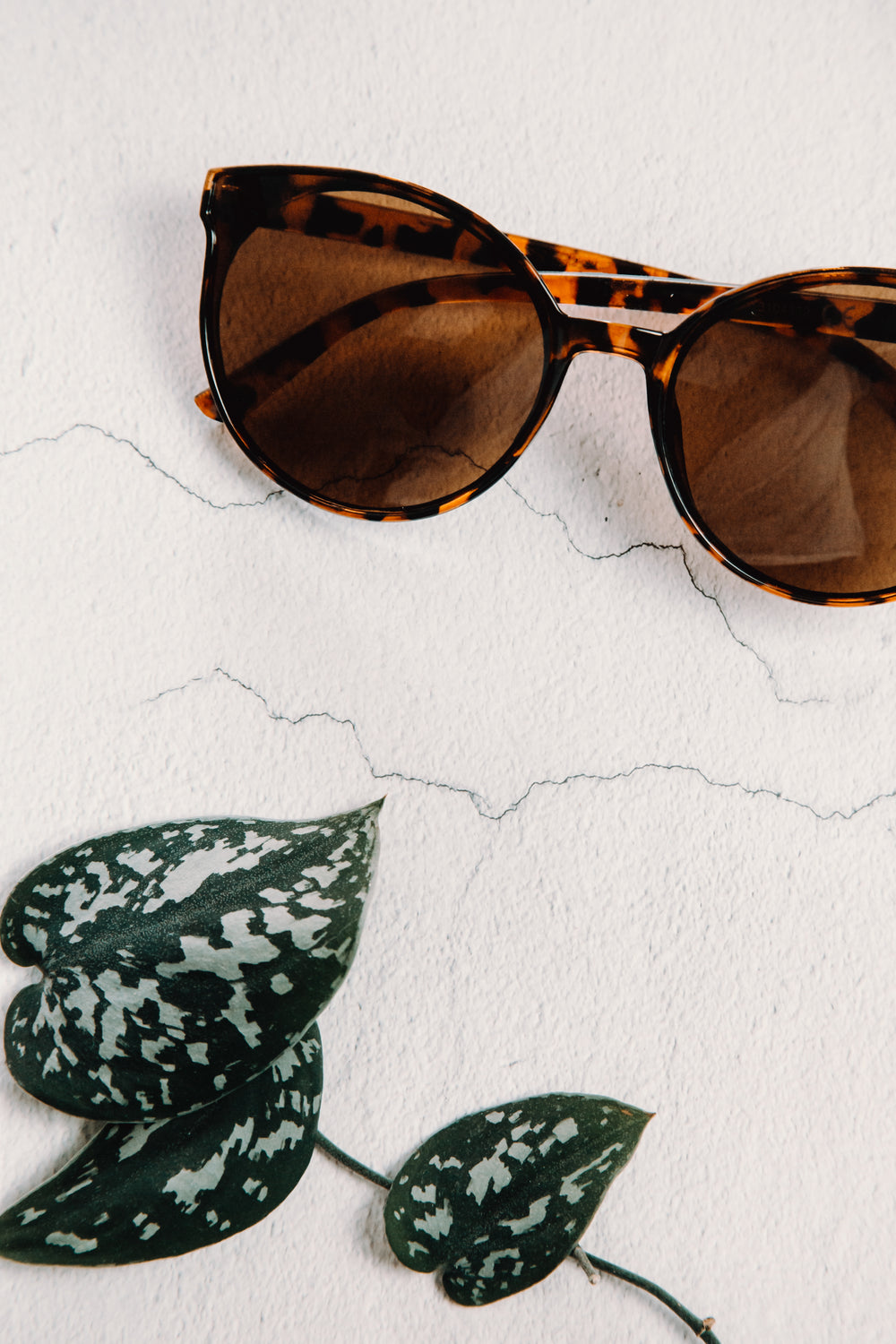 flatlay of tortoise shell sunglasses on white