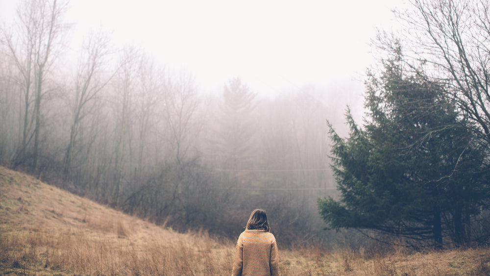 foggy forest hike