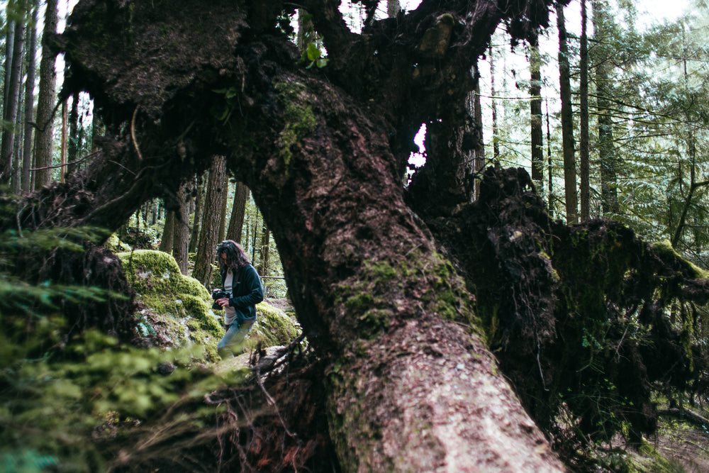 forrest photographer