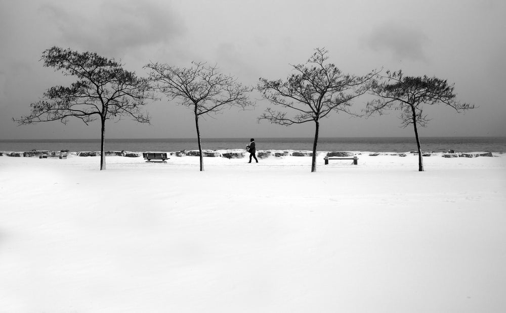 four trees and a person standing in the middle