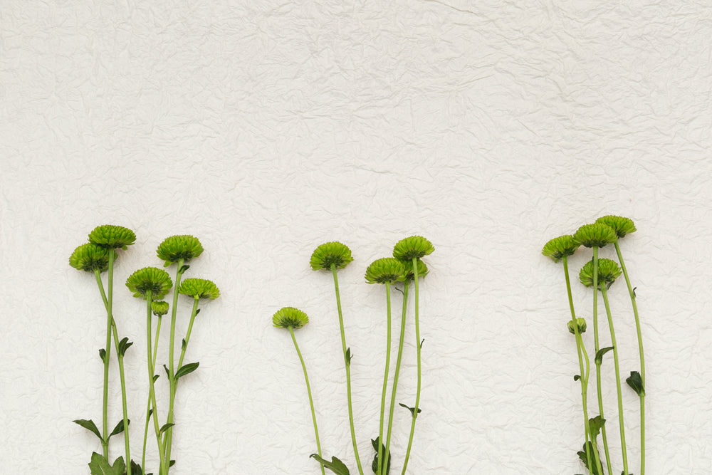 green flowers on white texture