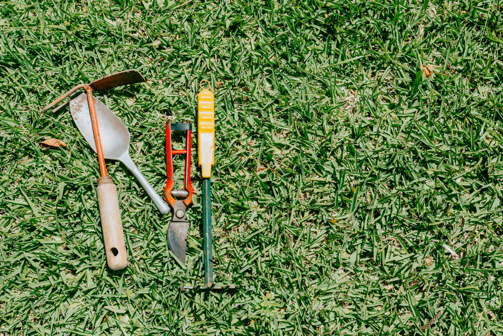 green grass with gardening tools on the left side of the frame