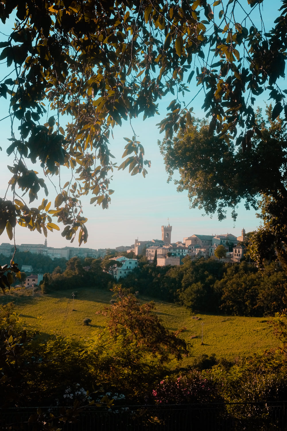 green leaves frame the view of a castle