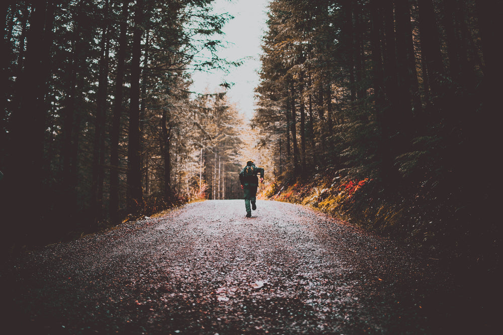 hiker running up beaten track between the trees