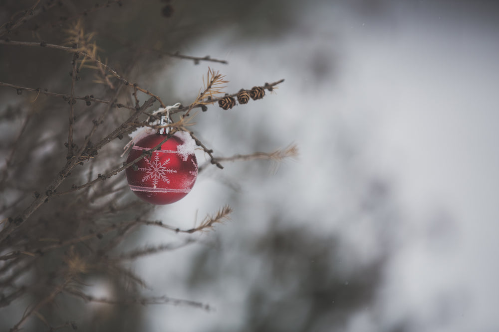 icy winter christmas decor