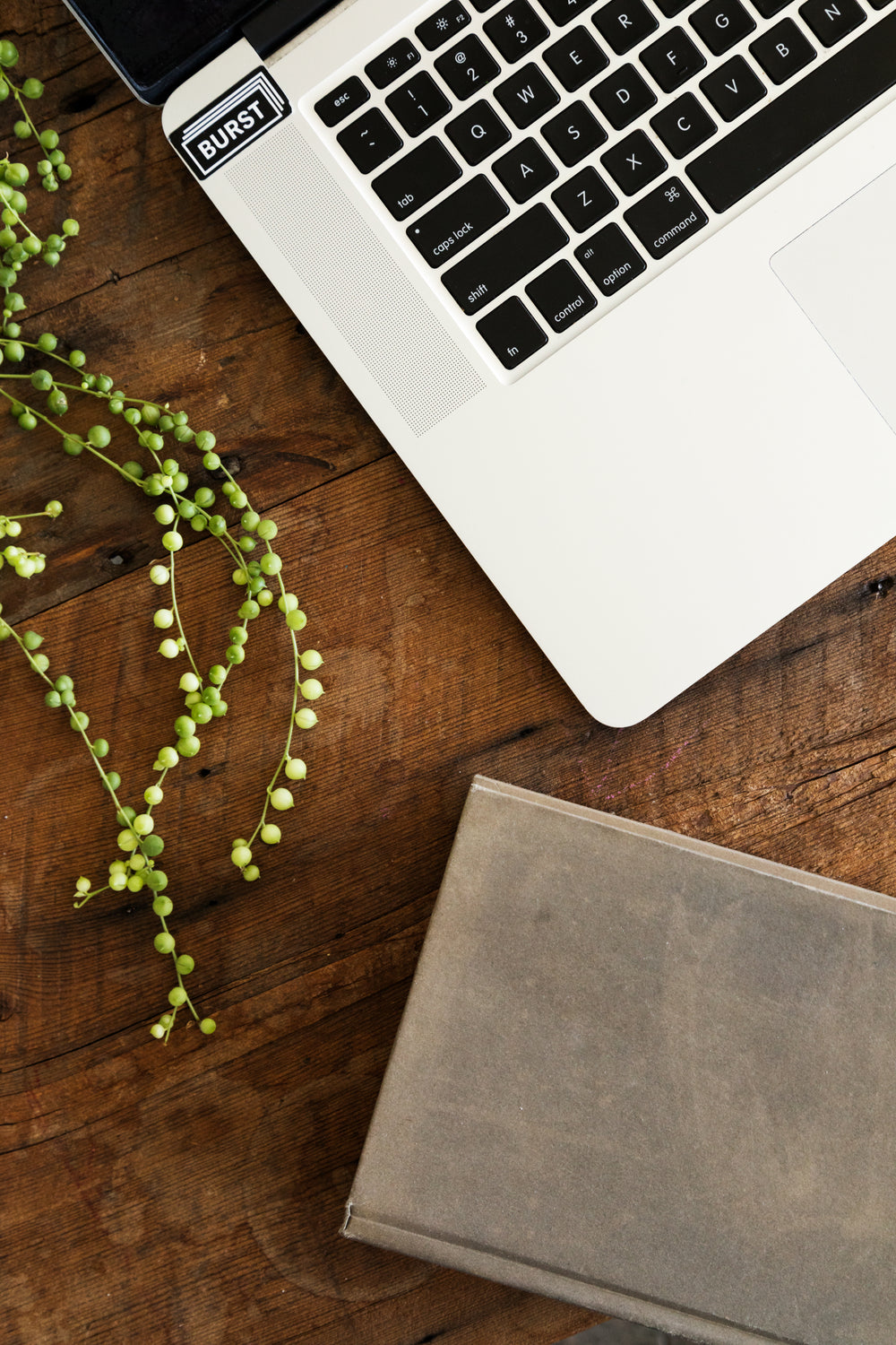 laptop, book, and plant