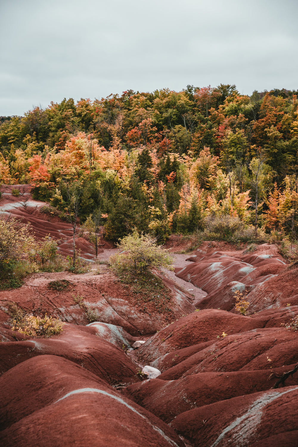 ontario badlands landscape