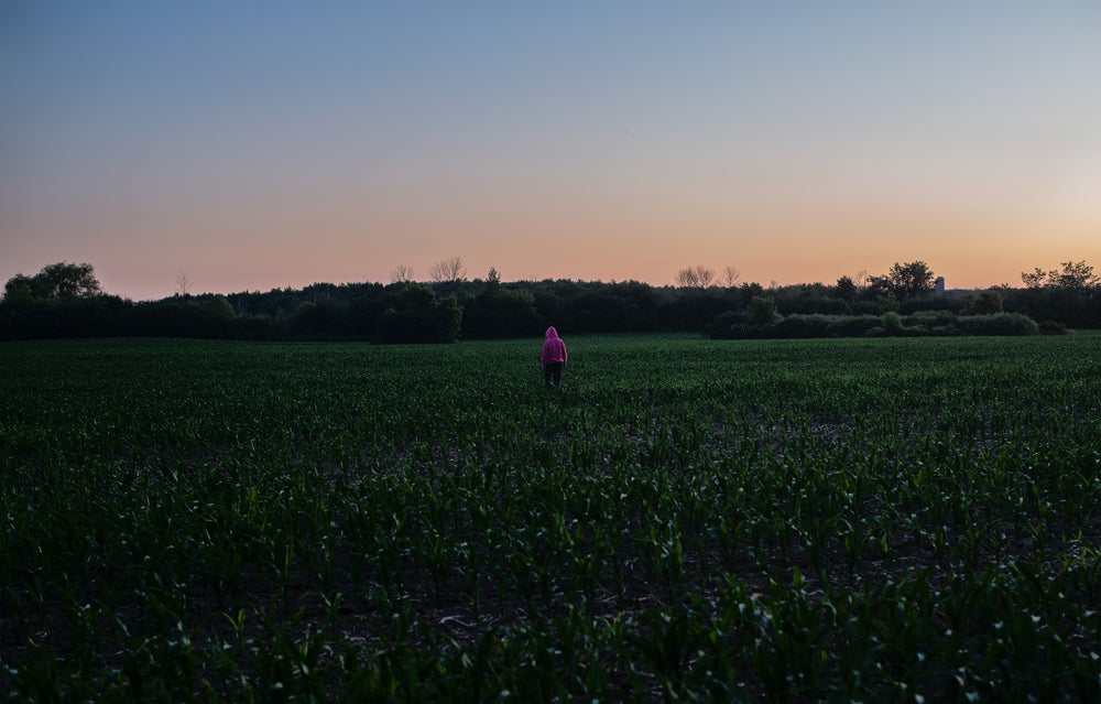 person in a pink hoodie walks a farmers field at sunset