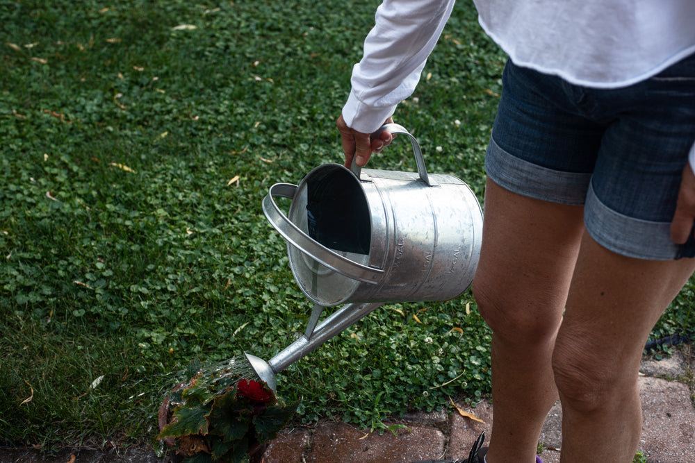 person waters plants with a watering can