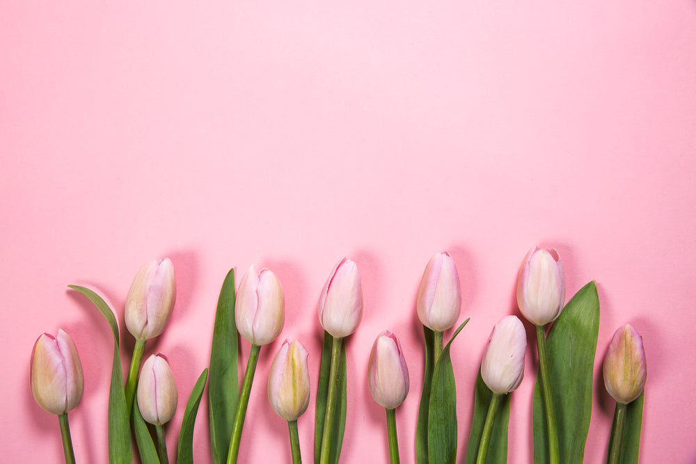 pink spring flowers