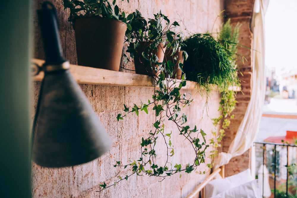 plant pots sit on wooden shelf in balcony