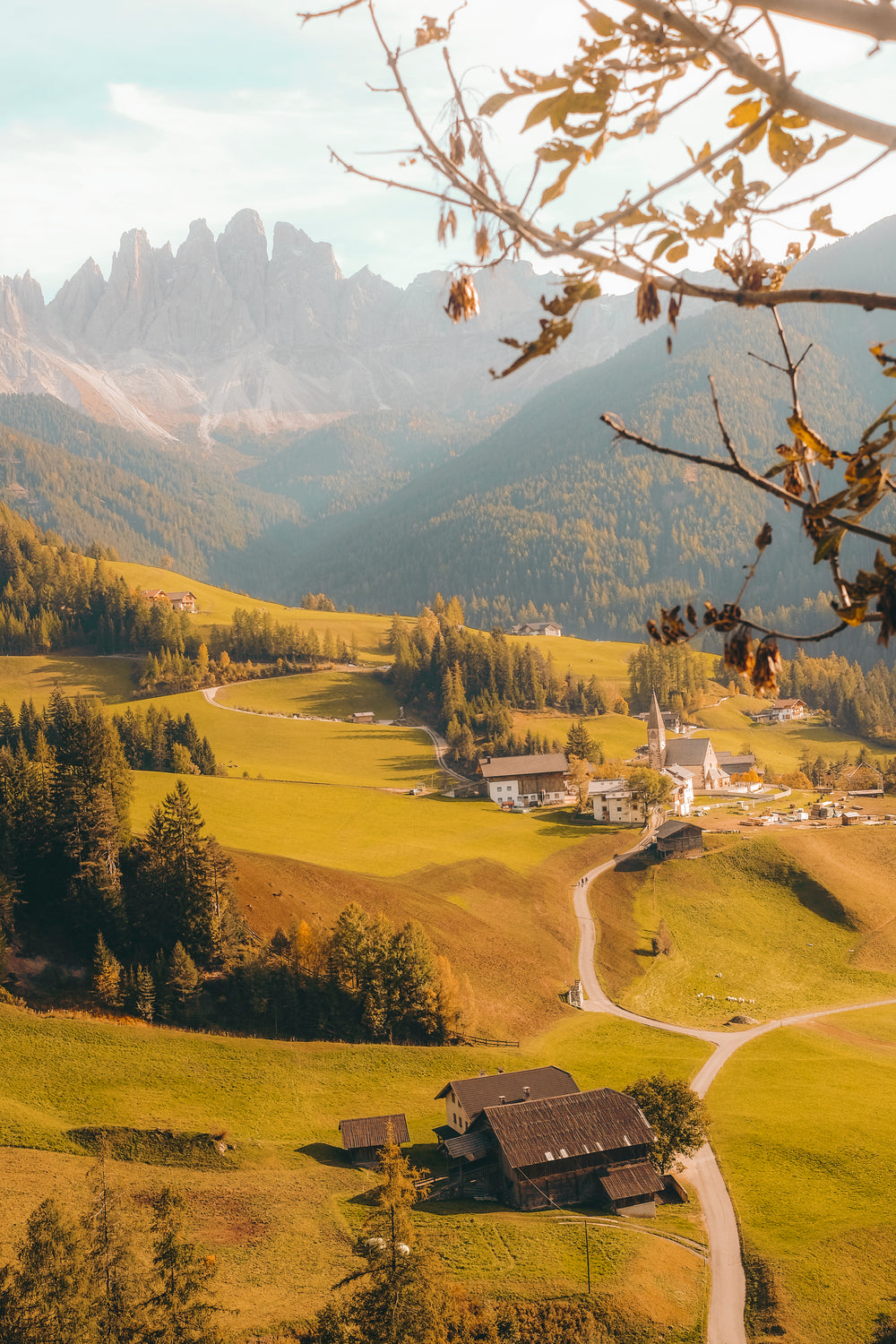 provincial village with misty hillside