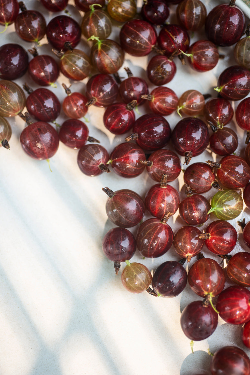 red and green gooseberries against white