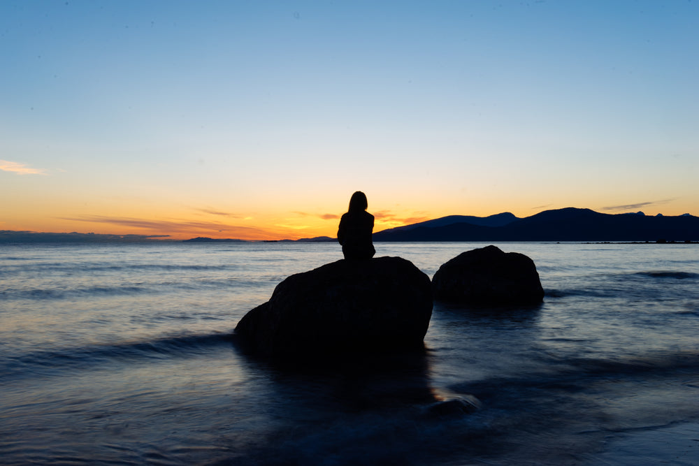 silhouette on ocean rock