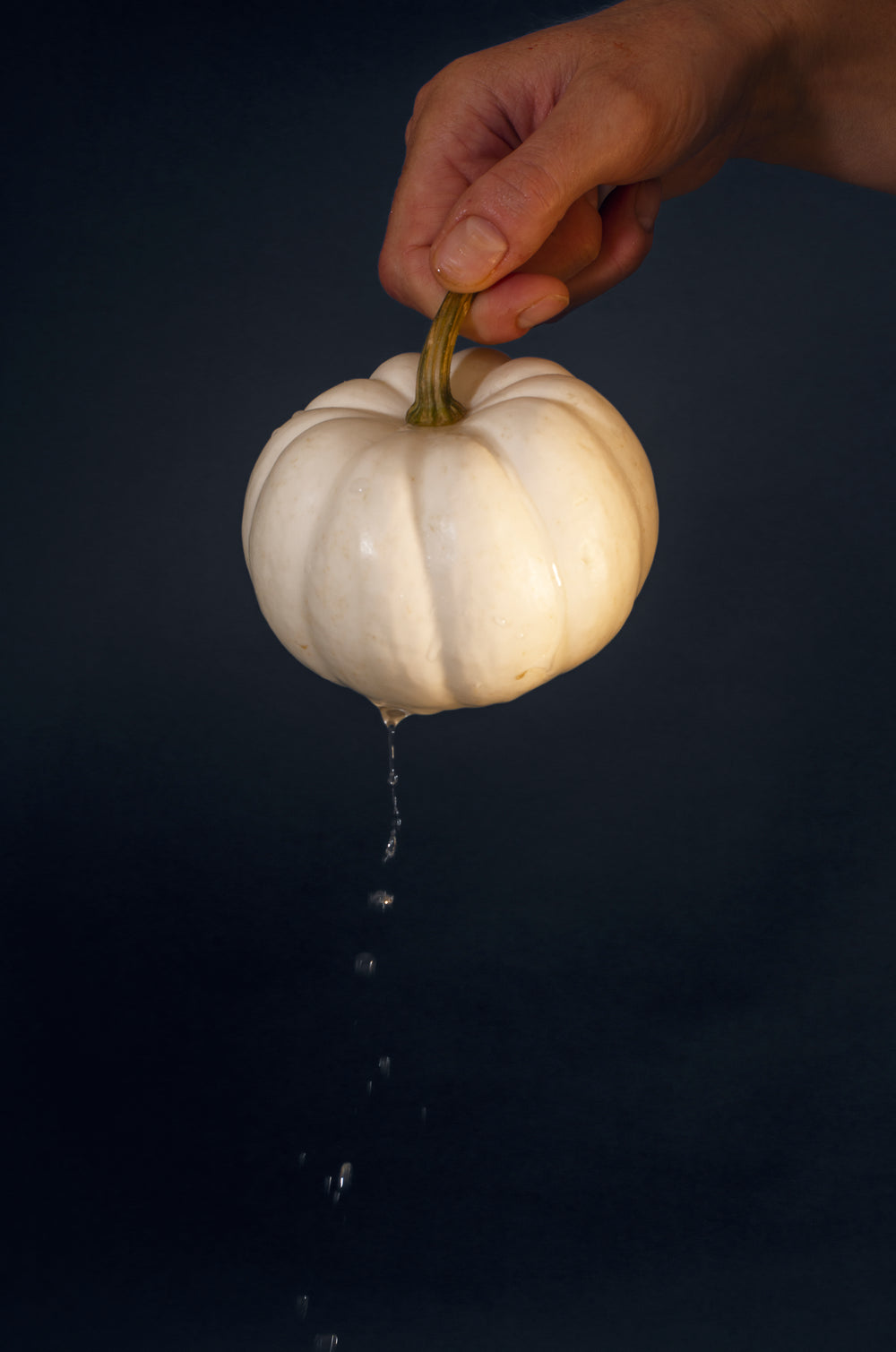 small wet white pumpkin against black