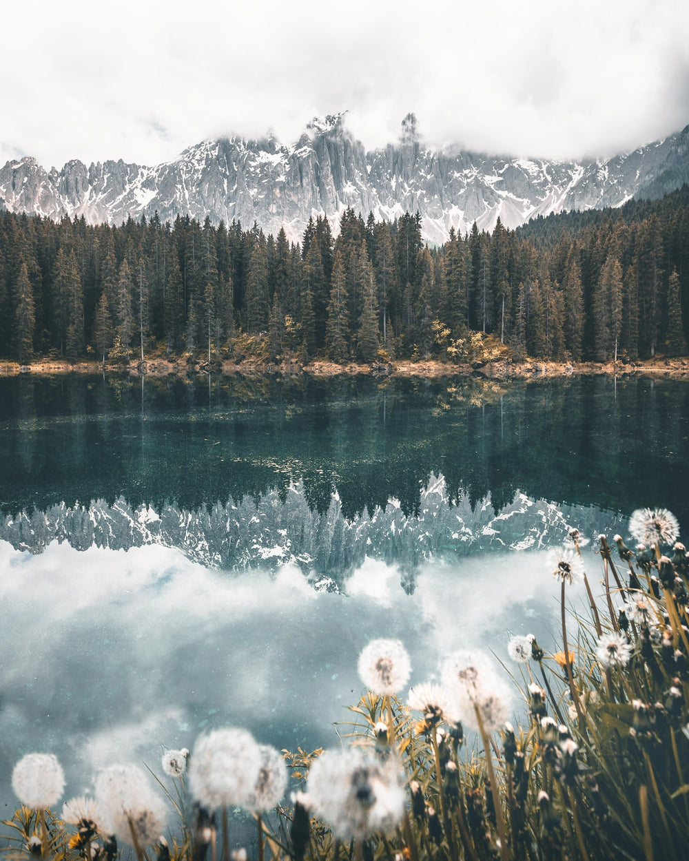 snowy mountains reflected in still lake