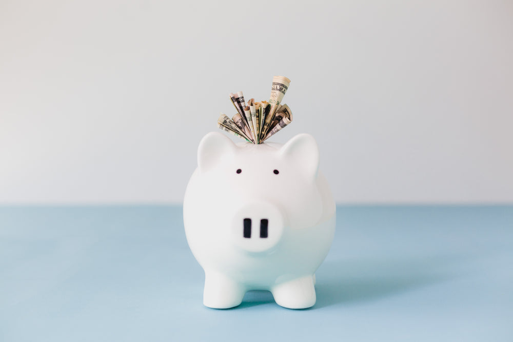 stuffed piggy bank savings