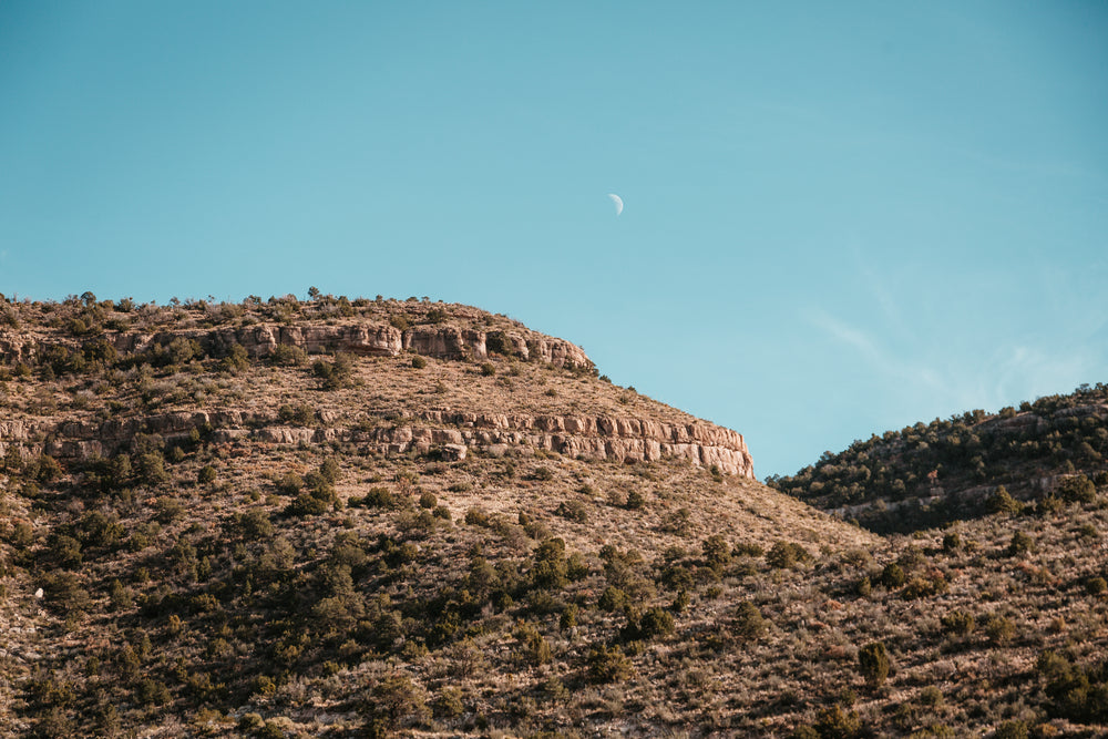 summer midday moon