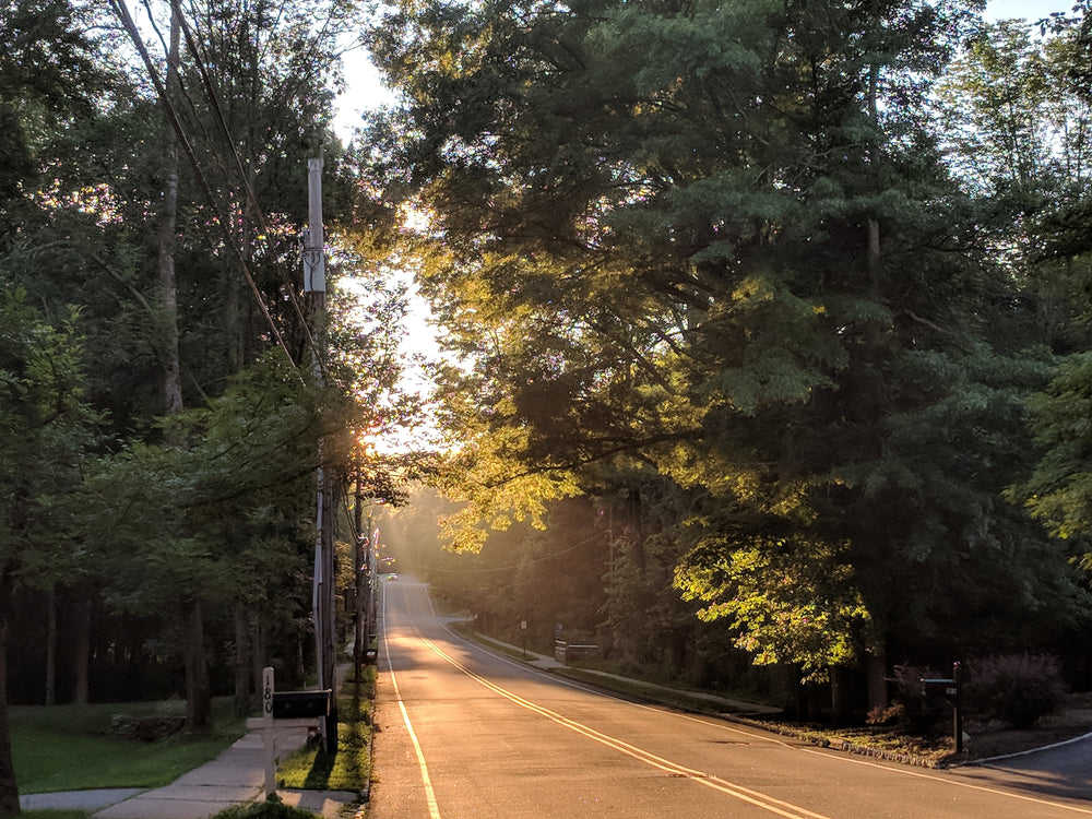 sunset on rural road in summer