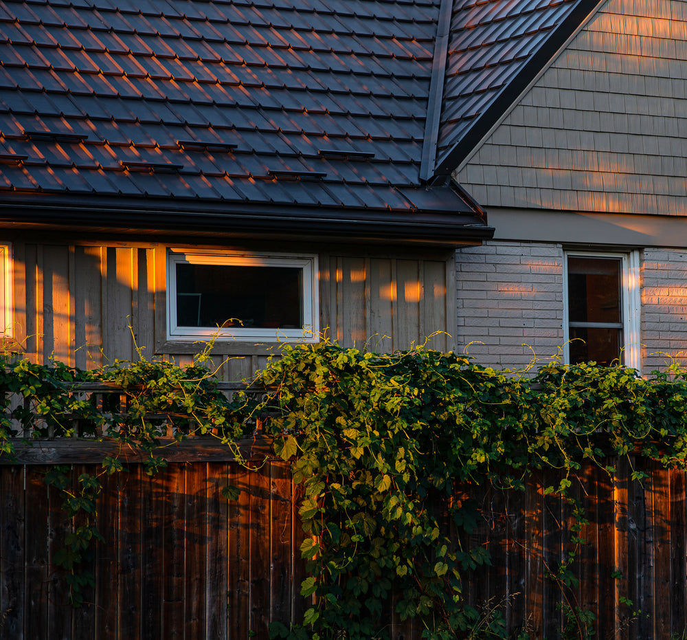 wooden fence with green vines by a building